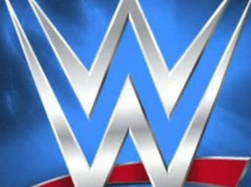 cropped-wrestling-1-1.png